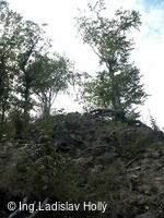 Zřícenina hradu Křídlo